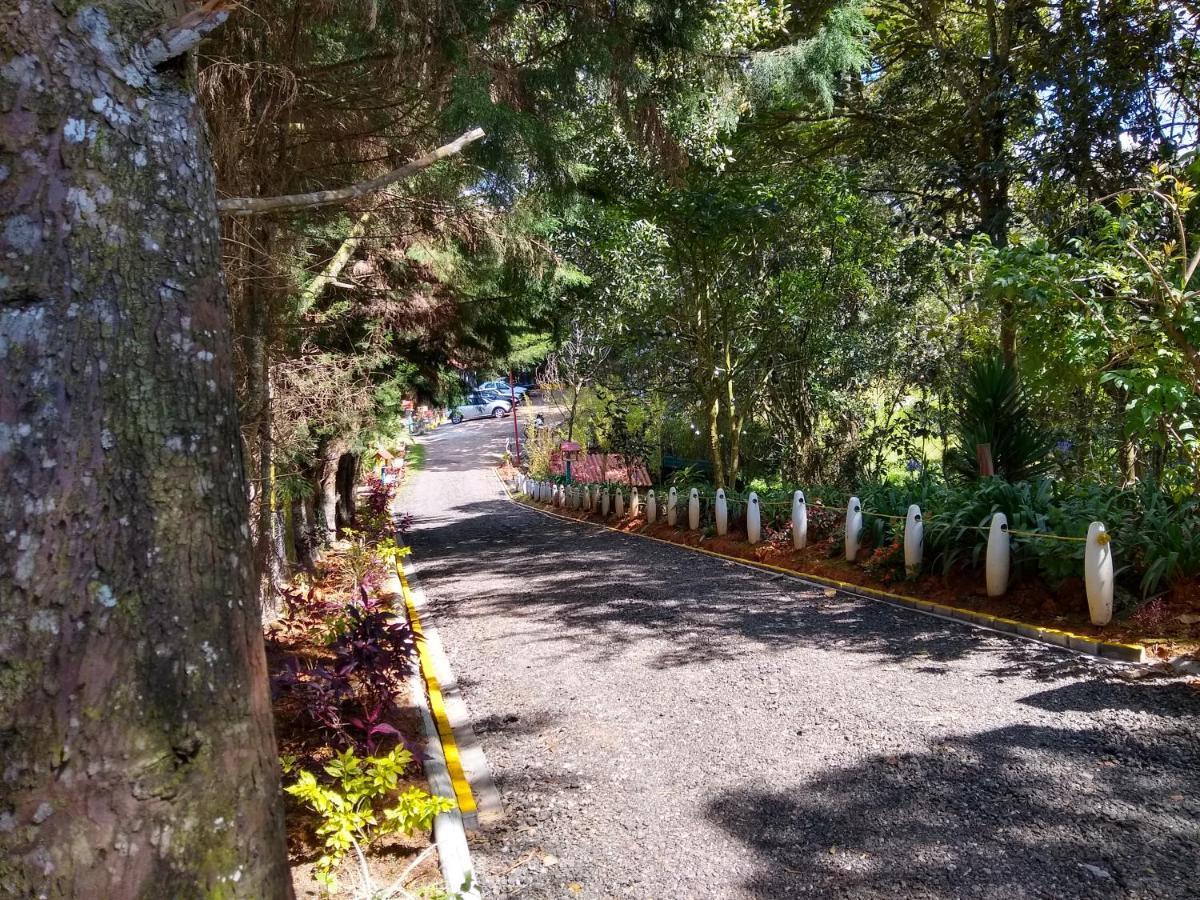 Hospedaje Santaelena -Chalets De Montana- Santa Elena  Εξωτερικό φωτογραφία